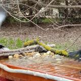 photo 2021-03-22 12-00-24 rg