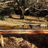 photo 2021-10-25 09-26-08