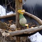 photo 2019-01-17 09-06-32