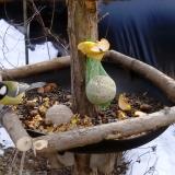 photo 2019-01-15 12-00-15