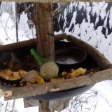 photo 2019-01-22 10-26-30