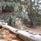 photo 2023-10-19 15-06-00 zoldike