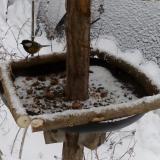 photo 2019-01-08 13-35-54