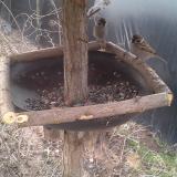 photo 2019-03-01 08-08-13