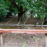 photo 2021-07-05 09-07-29