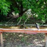 photo 2021-05-25 07-50-18