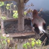 photo 2019-12-12 11-58-28