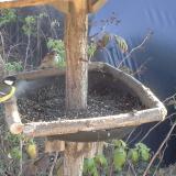 photo 2019-12-11 13-31-53