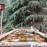 photo 2023-10-19 15-03-48