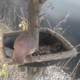 photo 2019-12-29 08-19-14