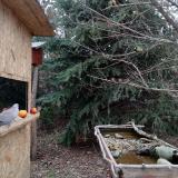 photo 2021-12-19 13-19-56