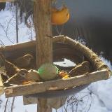 photo 2019-01-27 09-18-25