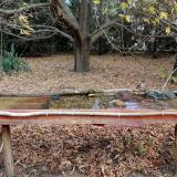 photo 2021-10-23 09-29-01