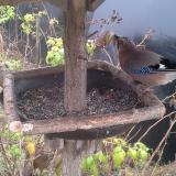 photo 2019-12-12 12-05-48