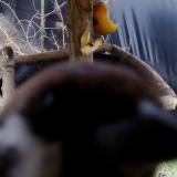 photo 2019-02-03 09-22-55