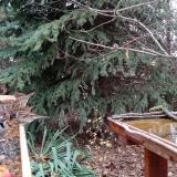 photo 2021-11-13 14-26-46