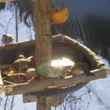 photo 2019-01-27 10-06-08