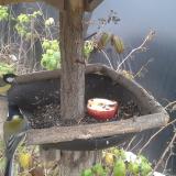 photo 2019-12-06 13-01-22