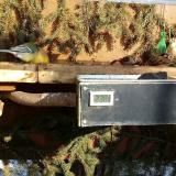 photo 2021-02-12 13-32-19