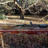 photo 2021-10-25 08-53-48