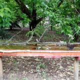 photo 2021-05-20 15-38-22