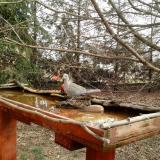 photo 2022-03-17 10-10-11