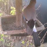 photo 2019-12-19 08-17-24