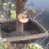 photo 2019-12-05 11-16-52