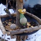 photo 2019-01-14 08-12-46