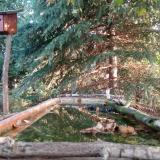 photo 2023-10-01 07-51-24