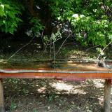 photo 2021-05-15 10-51-27