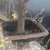 photo 2019-12-27 08-32-30