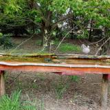 photo 2021-04-29 09-40-55