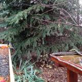 photo 2021-11-13 08-50-29