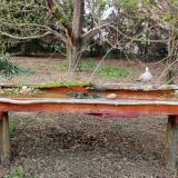 photo 2021-04-10 17-25-33