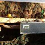 photo 2021-02-04 13-41-07