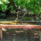 photo 2021-05-09 08-22-50