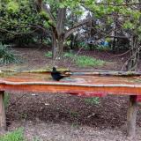 photo 2021-04-18 18-24-50