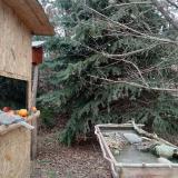 photo 2021-12-22 13-43-58