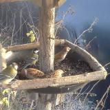 photo 2019-12-27 14-43-31