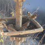 photo 2019-12-30 13-24-38