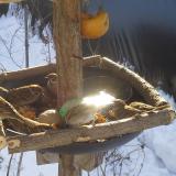 photo 2019-01-27 10-06-43