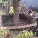 photo 2019-12-12 11-52-36