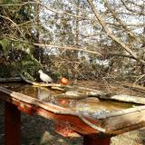 photo 2022-03-20 15-12-48