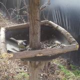 photo 2019-03-15 09-20-34