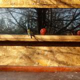 photo 2022-01-15 10-23-46