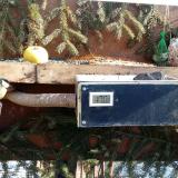 photo 2021-02-13 10-59-29