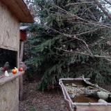 photo 2021-12-18 15-30-47