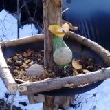 photo 2019-01-14 09-15-50