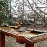 photo 2022-03-16 11-51-38